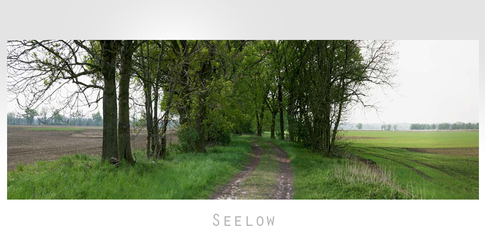 Seelow