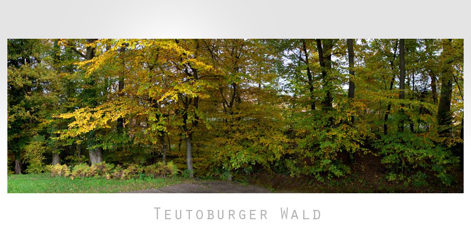 Teutoburger Wald